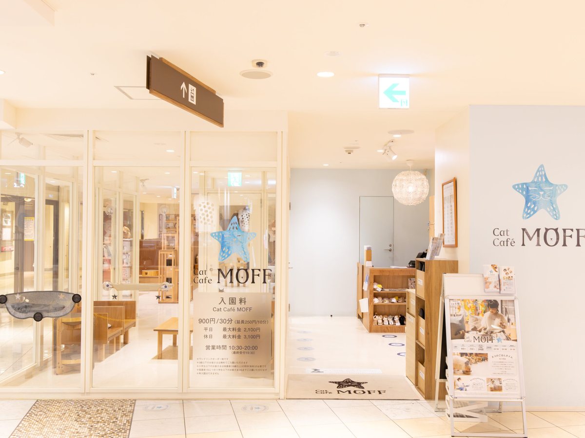 Cat Café MOFF 天王寺ミオ店（公式サイトの写真）