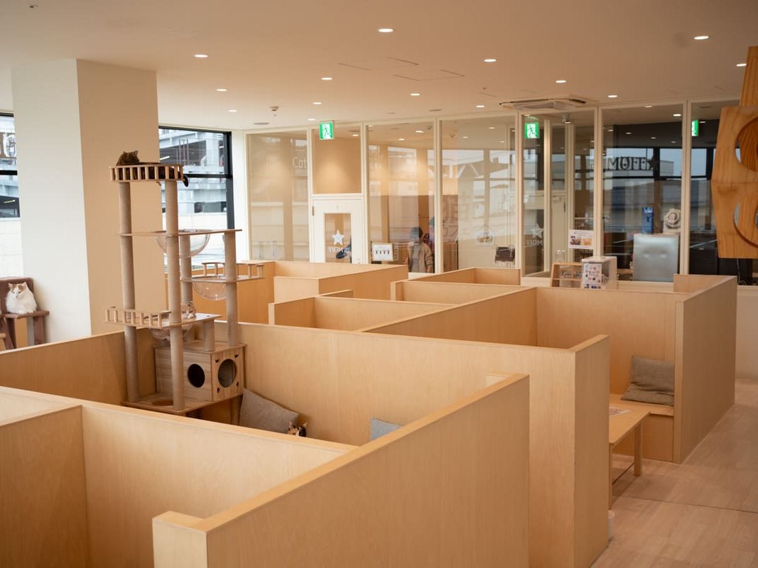 Cat Café MOFF グランベリーパーク店（公式サイトの写真）